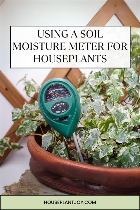 using a temperature meter to detect moisture|moisture meter chart for houseplants.